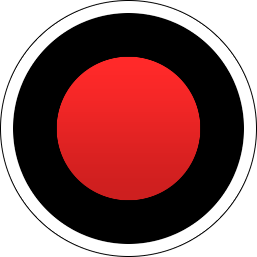 Bandicam Portable